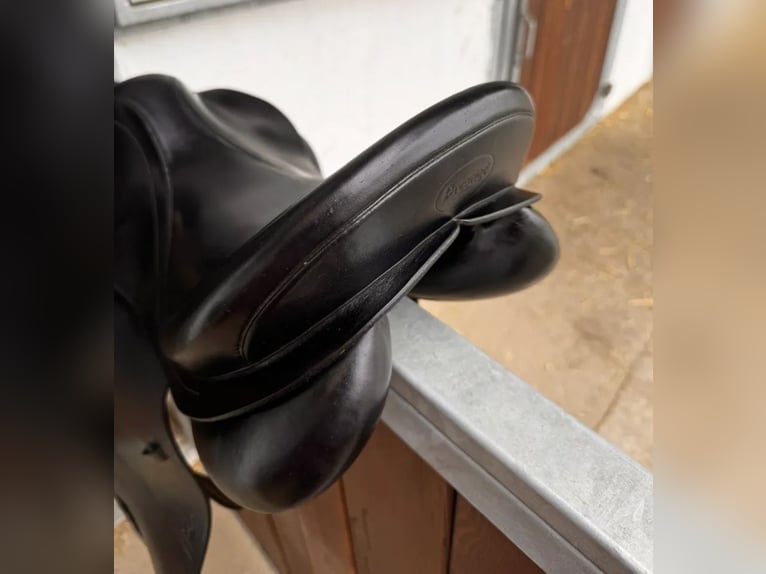 Prestige Top Dressage