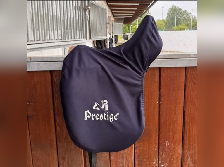 Prestige Top Dressage
