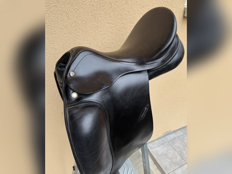 Prestige Top Dressage