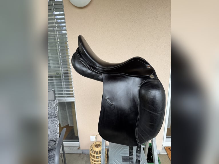 Prestige Top Dressage