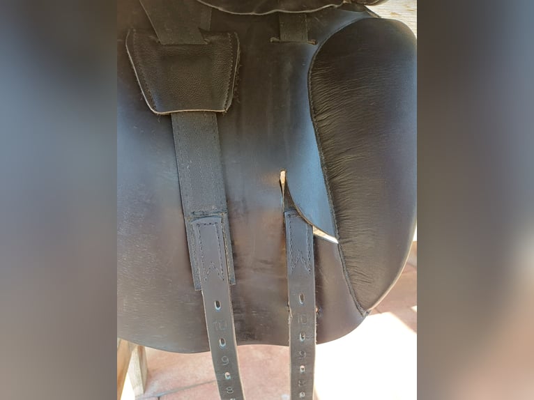 Prestige Venus Dressursattel