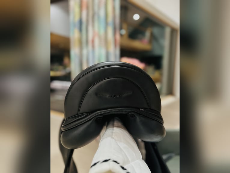 Prestige X-D2 Dressursattel