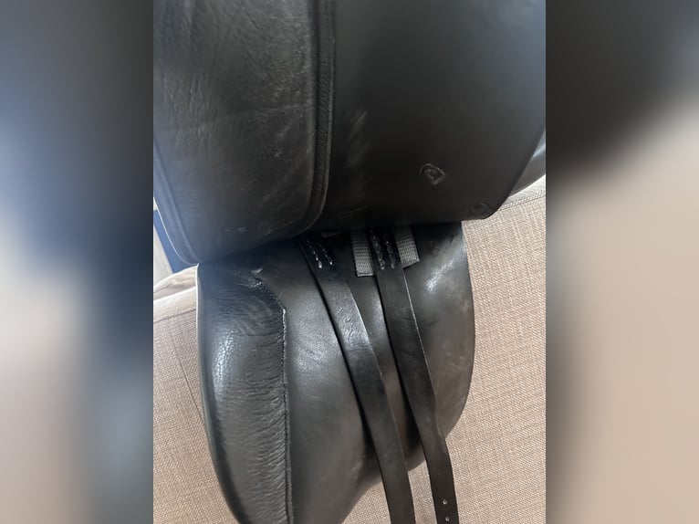 Röösli Dressursattel, kurz