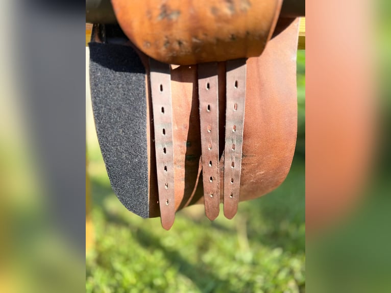 Röösli Pilatus 17" dunkelbraun