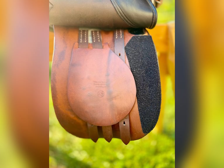 Röösli Pilatus 17" dunkelbraun