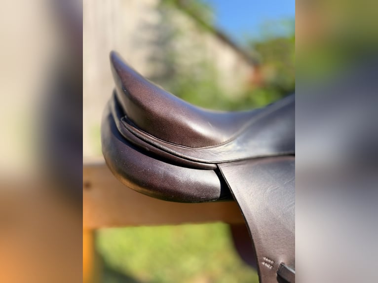 Röösli Pilatus 17" dunkelbraun