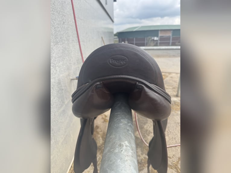 Saddle Me Engelke | D 1 Zero Dressursattel | Prestige