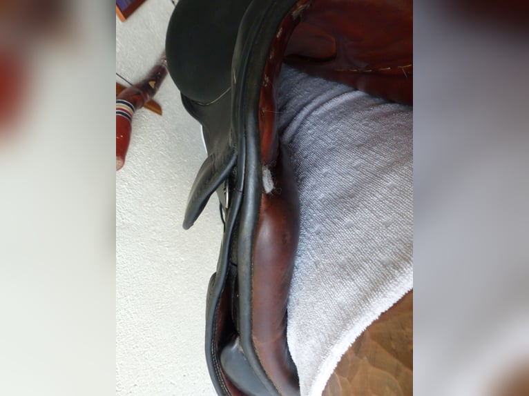 SALE!! Stübben DS Sattel Parzival,schwarz 17,5 Zoll