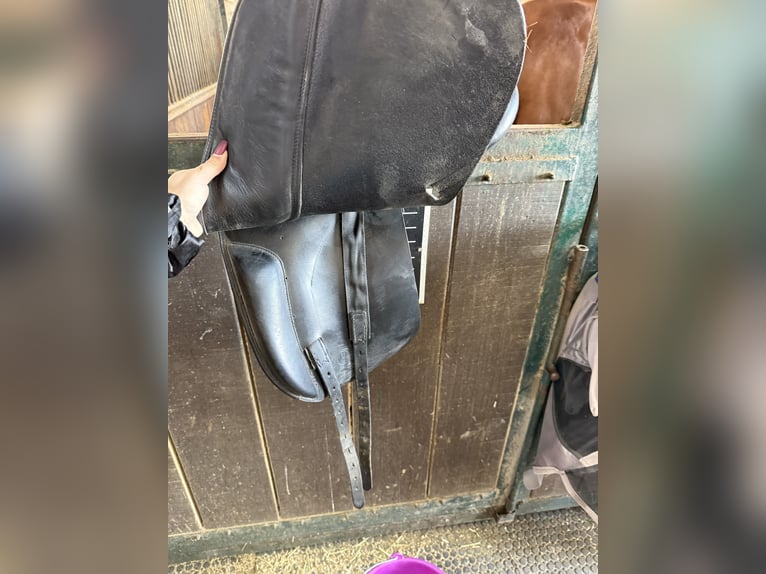 Sattel Prestige Appaloosa Italy 17 Zoll 