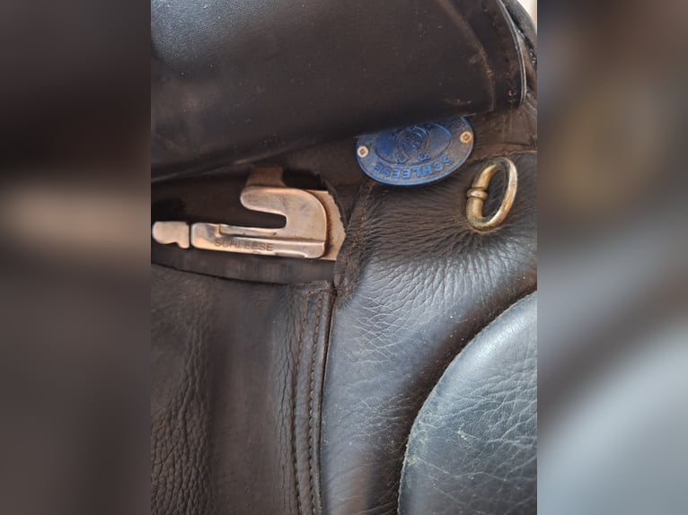 Schleese Dressursattel 