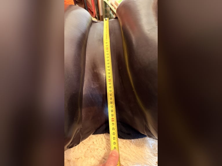 Schleese Sattel Modell Pro Light 0-RW 17