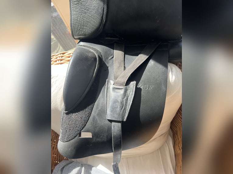 Schumacher dressursattel Dynamik SF 