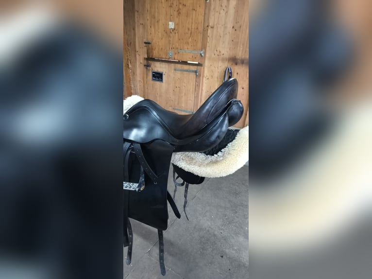 Sehr gepflegter Prestige ROMA Dressursattel