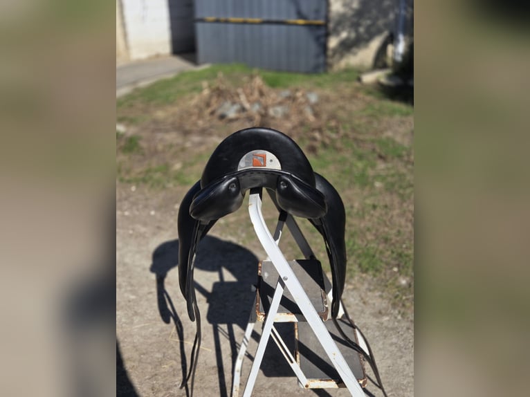 ✨ Selle Childeric DPL 17.5 – 2020 ✨