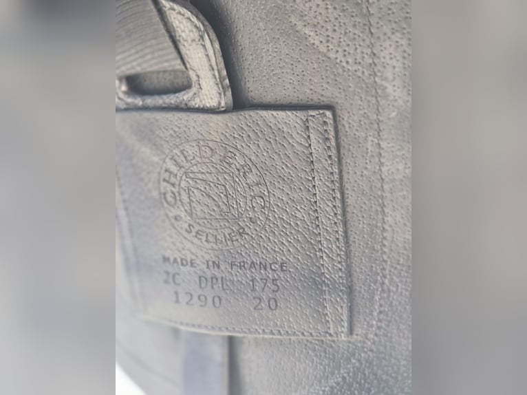 ✨ Selle Childeric DPL 17.5 – 2020 ✨