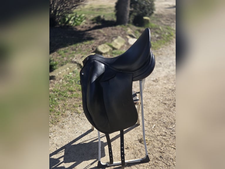 ✨ Selle Childeric DPL 17.5 – 2020 ✨