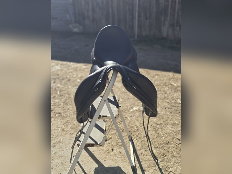 ✨ Selle Childeric DPL 17.5 – 2020 ✨