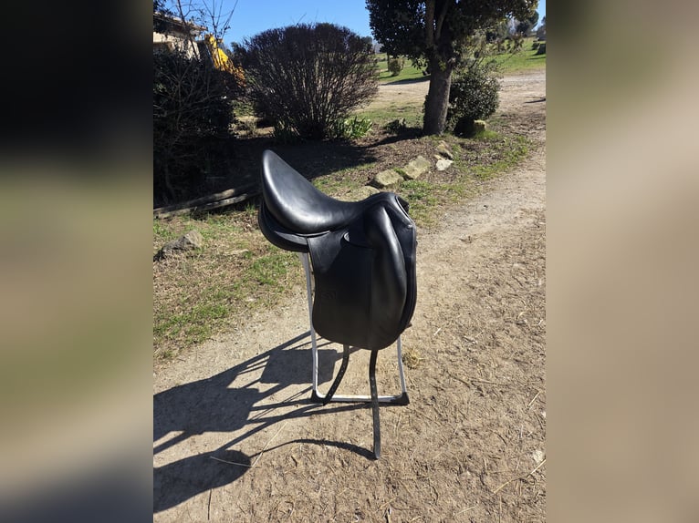 ✨ Selle Childeric DPL 17.5 – 2020 ✨