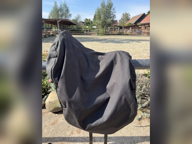 Signum Sattel Omega Rose working Equitation  Signum Sattel Omega Rose working Equitation