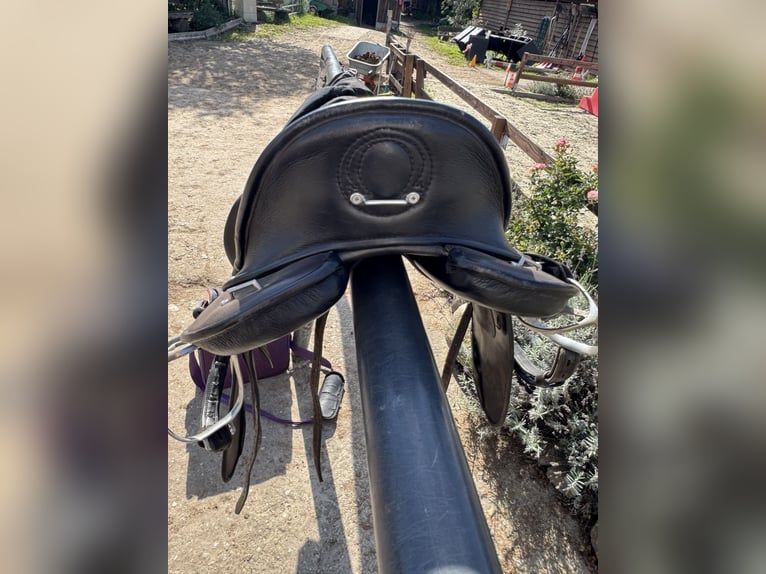Signum Sattel Omega Rose working Equitation  Signum Sattel Omega Rose working Equitation