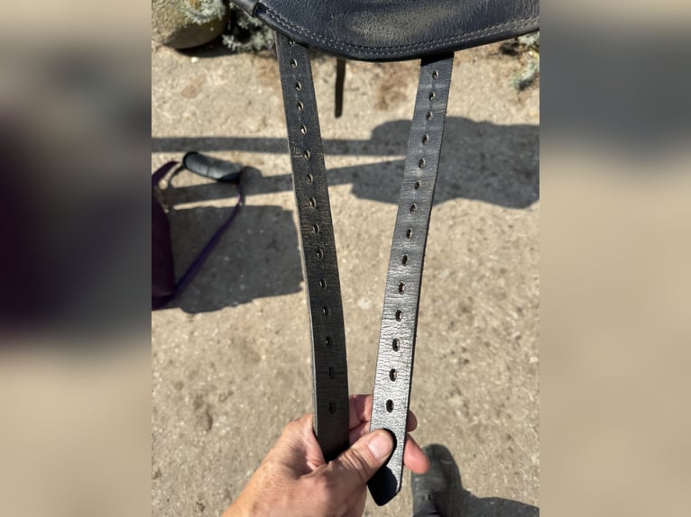 Signum Sattel Omega Rose working Equitation  Signum Sattel Omega Rose working Equitation