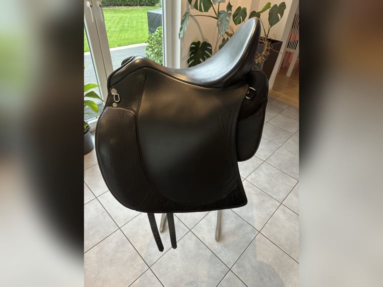 Sommer Salvadore sucht neuen Lieblingsrücken Sommer Salvadore sucht neuen Lieblingsrücken