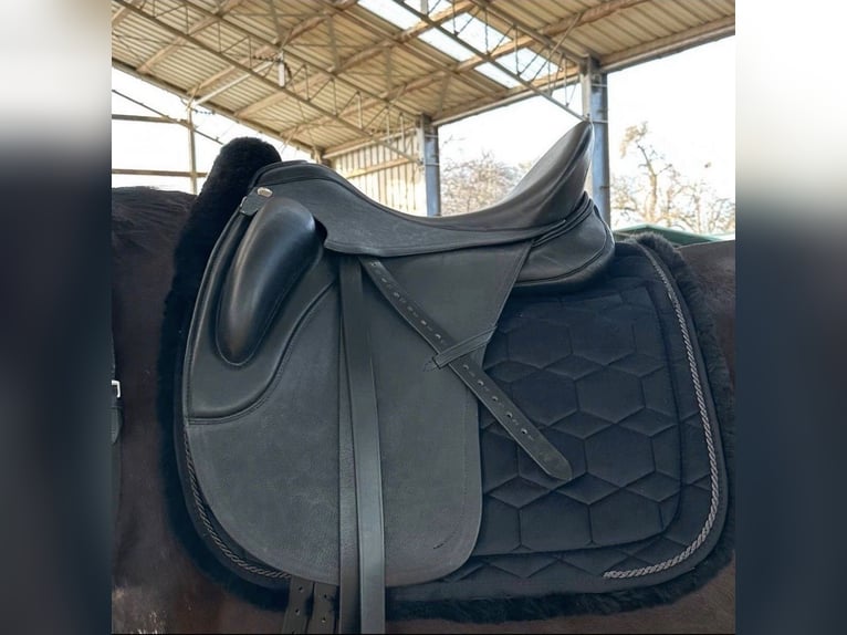 Sommer Sattel Novalis 17,5 wie neu!! 