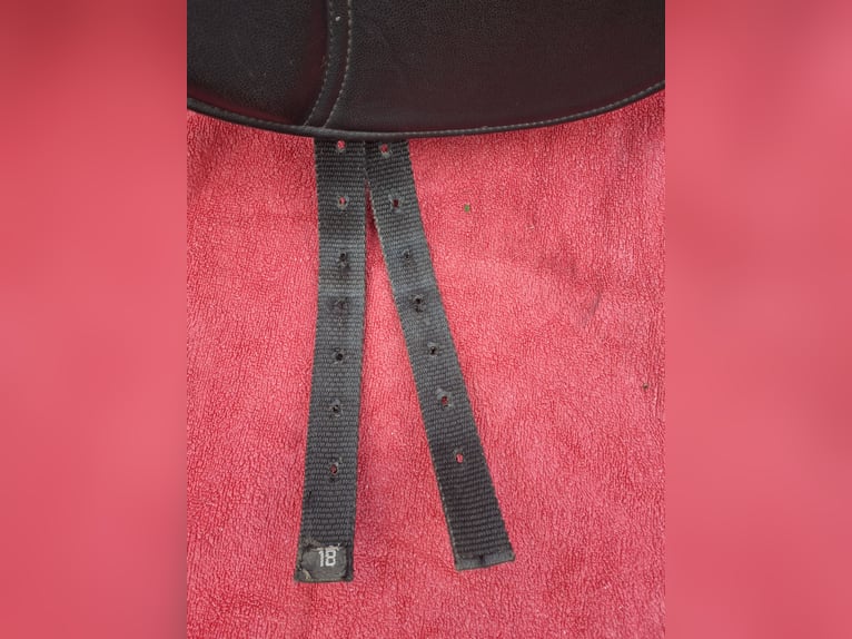 Status Dressursattel 