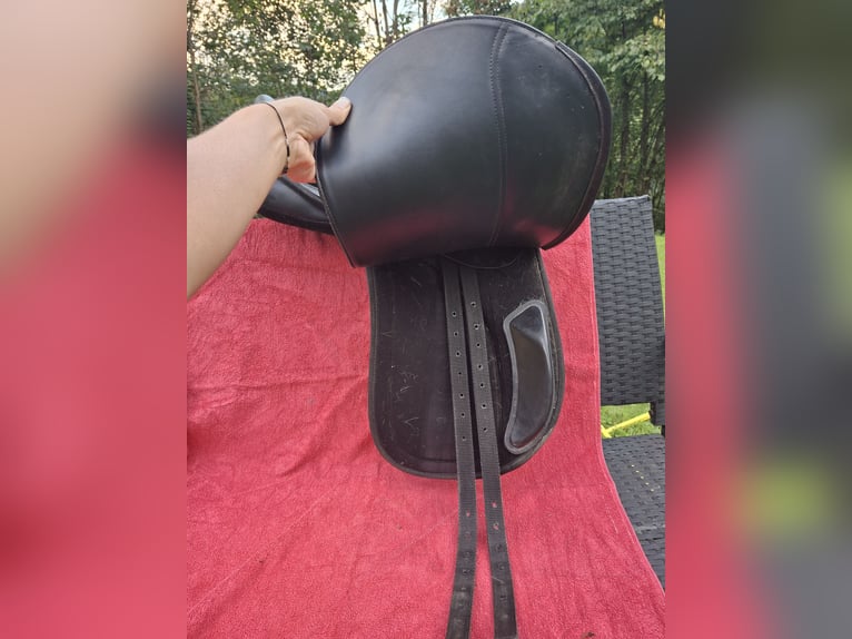 Status Dressursattel 