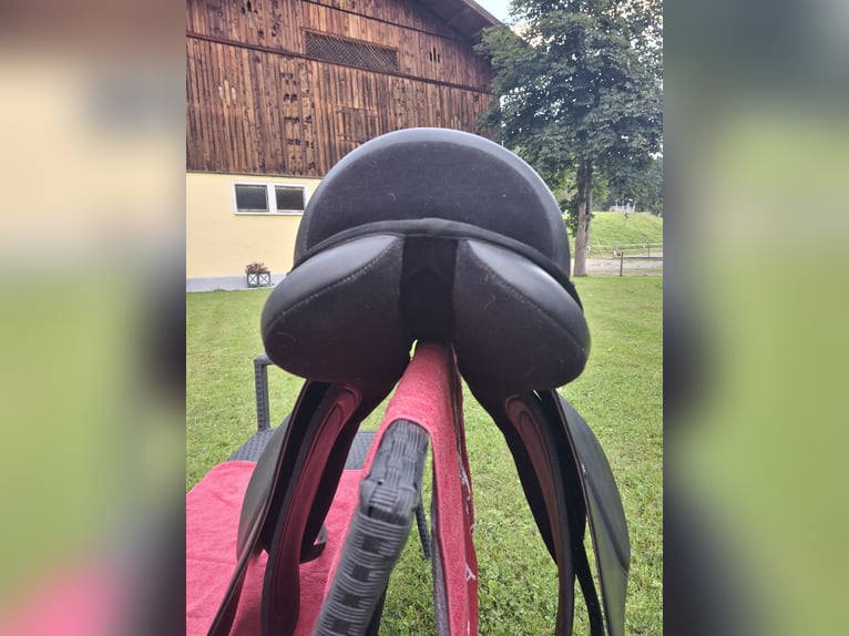 Status Dressursattel 