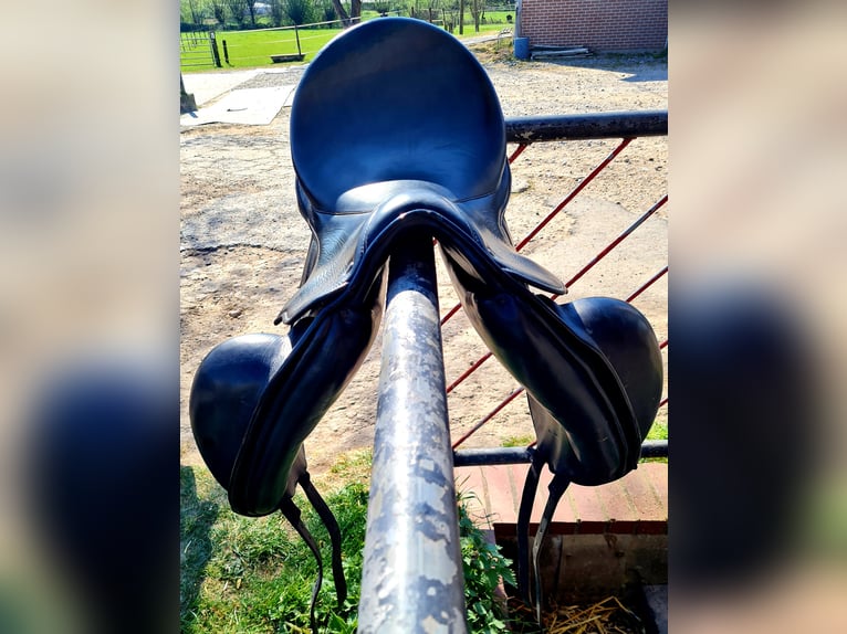 Stübben Centurion mit Monoblatt 