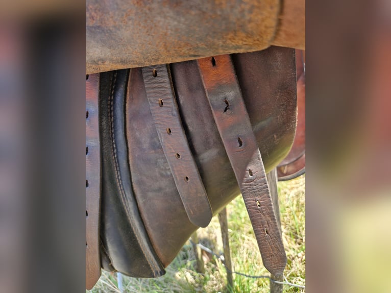 Stübben Dressurrsattel 