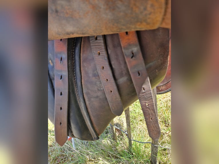 Stübben Dressurrsattel 