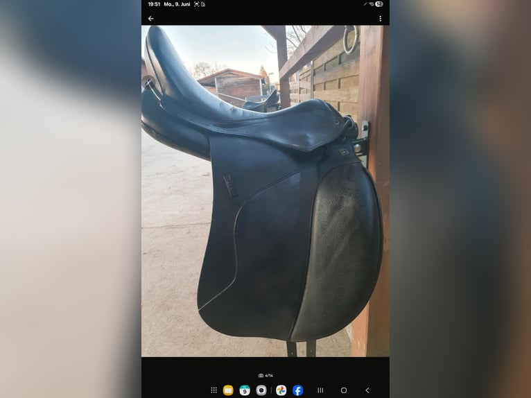 Stübben Dressursattel Euphoria 17,5" KW 32 schwarz