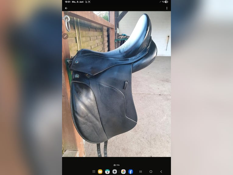 Stübben Dressursattel Euphoria 17,5" KW 32 schwarz