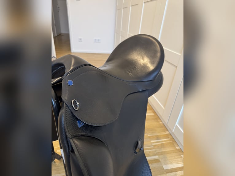 Stübben Dressursattel Virginia 17,5 Zoll neuwertig