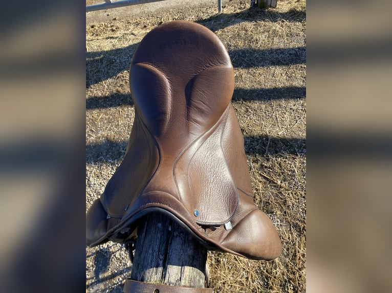 Stübben Focus Biomex Sattel