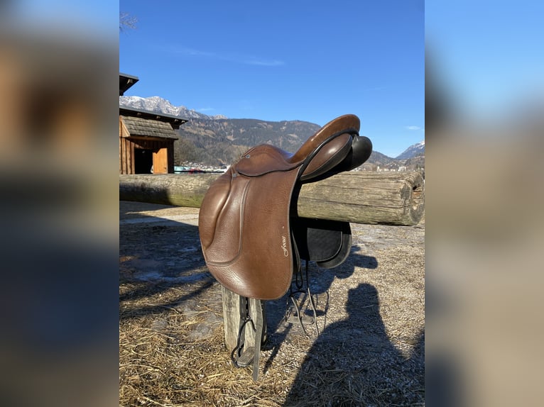 Stübben Focus Biomex Sattel