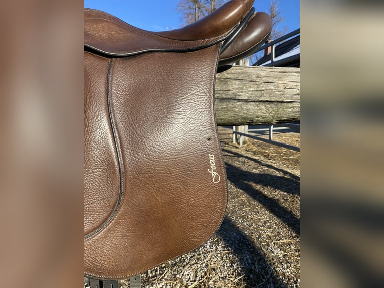 Stübben Focus Biomex Sattel