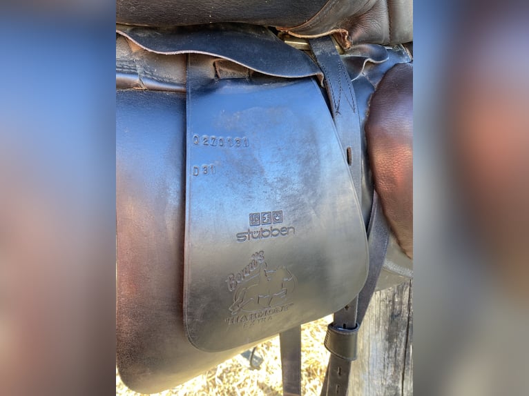 Stübben Focus Biomex Sattel