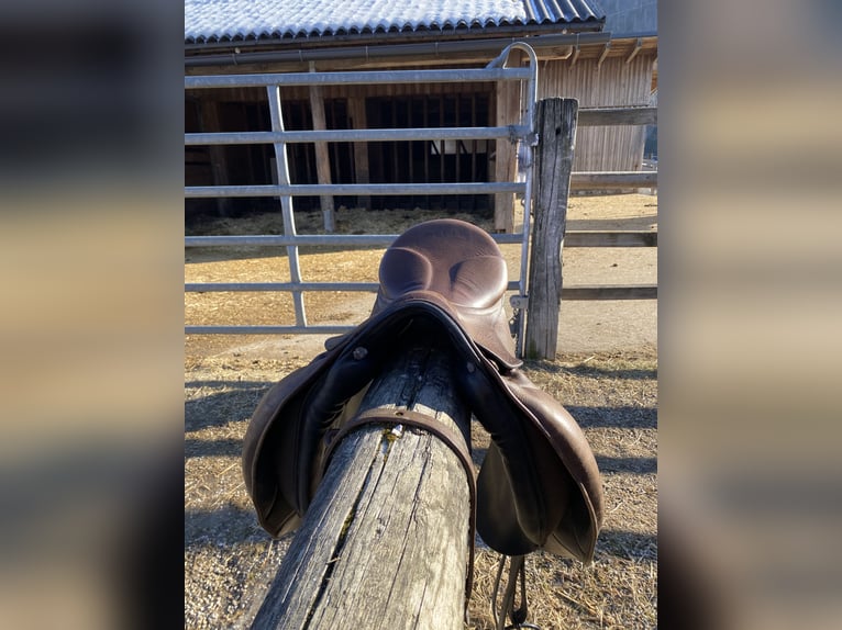 Stübben Focus Biomex Sattel