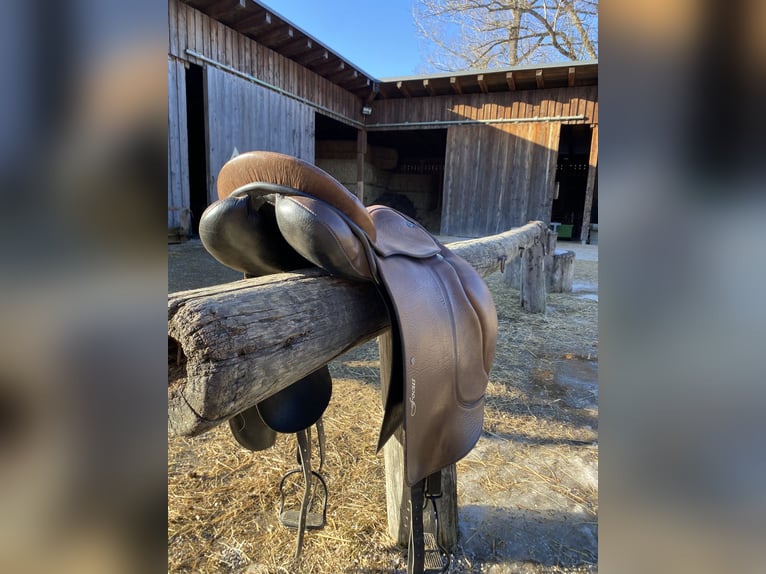 Stübben Focus Biomex Sattel