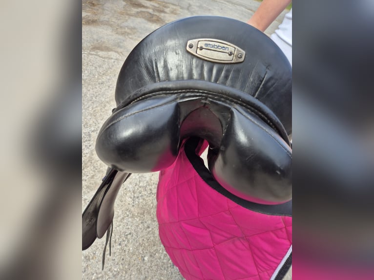 Stübben Maestoso de luxe Dressursattel 