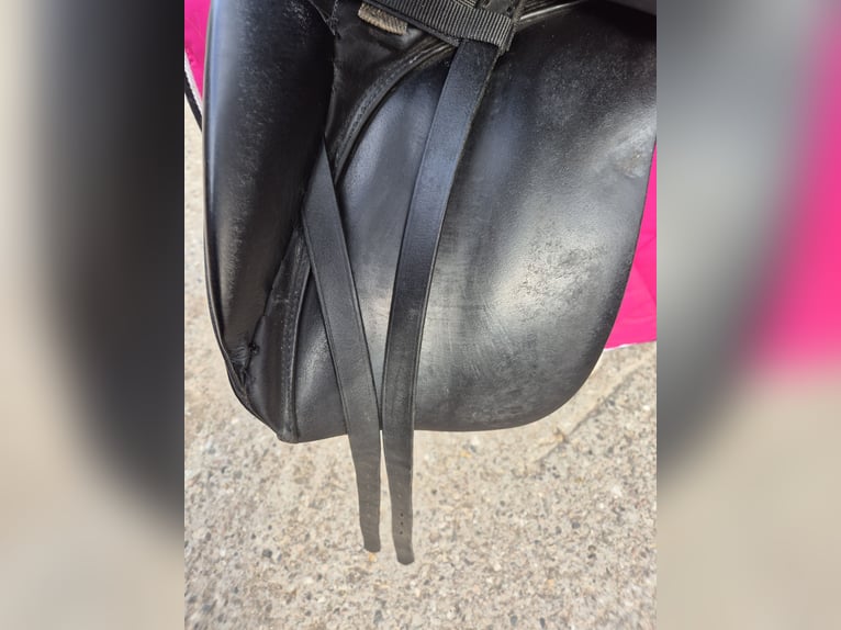 Stübben Maestoso de luxe Dressursattel 