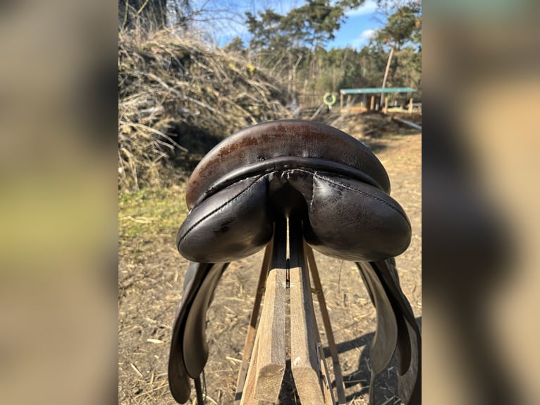 Stübben Scandica 17,5 in besonderer Optik 