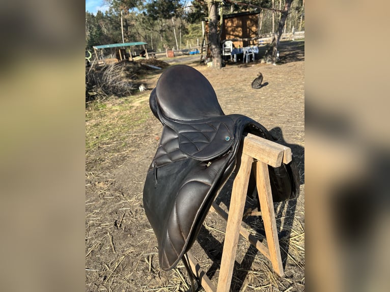 Stübben Scandica 17,5 in besonderer Optik 