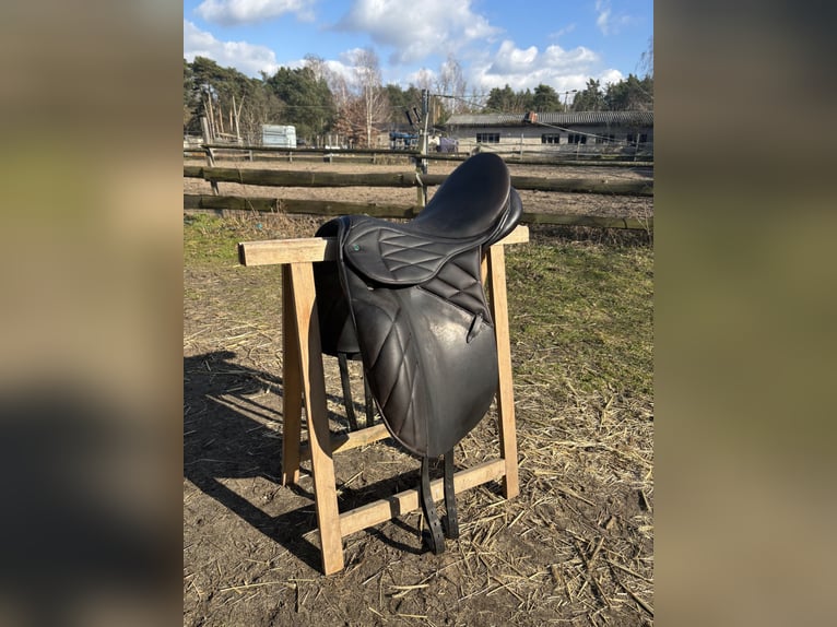 Stübben Scandica 17,5 in besonderer Optik 