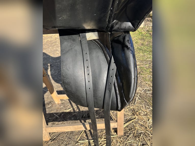 Stübben Scandica 17,5 in besonderer Optik 