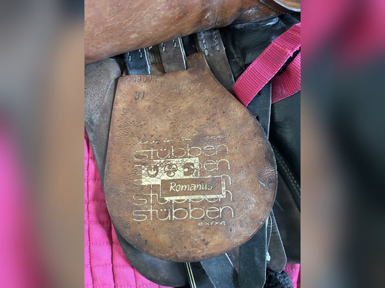 Stübben Siegfried Dressur Sattel 30Kammer 