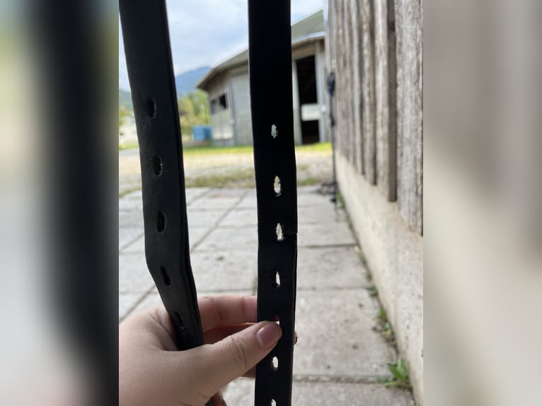 Stübben Tristan 17,5 Zoll 31 Kammerweite